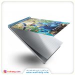 دفترچه یادداشت ریو