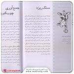 کتاب 250 بازی 5 دقیقه ای با بچه ها در خانه و مهد و مدرسه