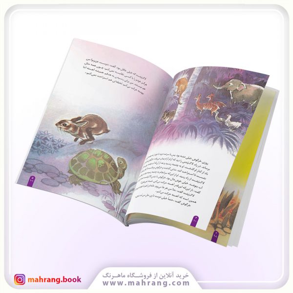 کتاب مسابقهی خرگوش و لاکپشت