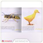 کتاب حیوانات از همه رنگ