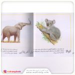 کتاب حیوانات از همه رنگ