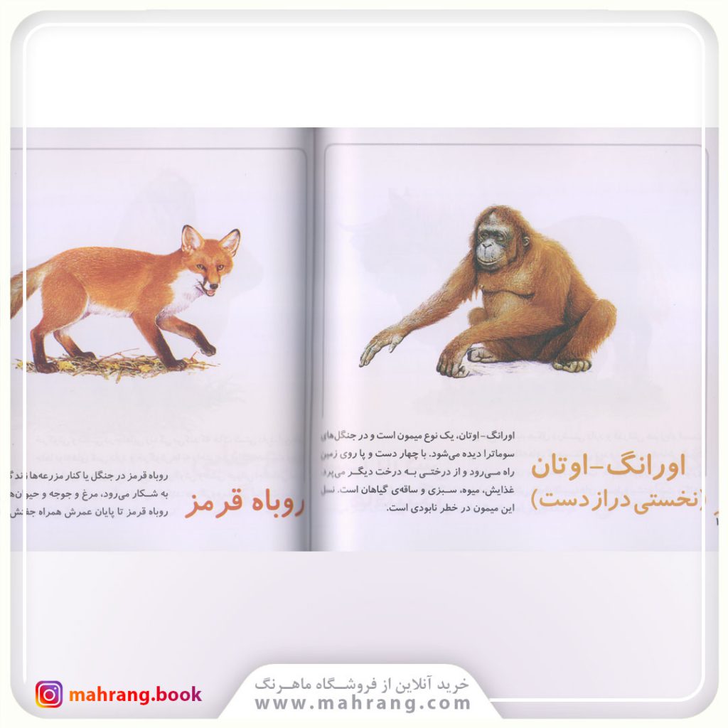 کتاب حیوانات از همه رنگ