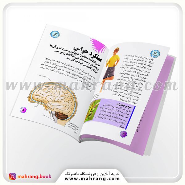 کتاب هنگام استفاده از حواس پنجگانه چه اتفاقی می افتد؟