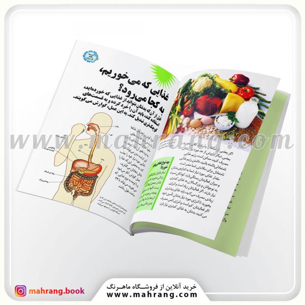 کتاب هنگام خوردن غذا چه اتفاقی می افتد؟