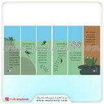 کتاب گربه كوچولوی سفيد و قورباغه - تصویر 3