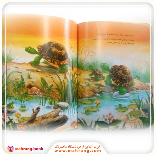 فرانکلین دروغ می‌گوید