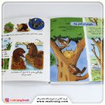 کتاب دایرة المعارف کوچک من دربارهی فصلها - تصویر 2