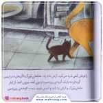 کتاب گربه ریزه کو؟ - تصویر 2