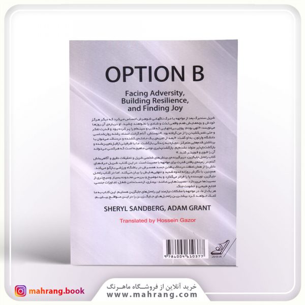 راه حل جایگزین